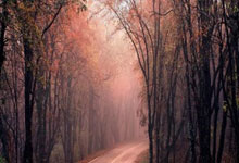 壹号娱乐:WTT新加坡大满贯:孙颖莎速胜对手取得蛇年开门红2025-02-04.