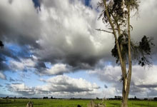 菲戈:效力巴萨是我生涯最美好的时光;罗德里的金球实至名归.