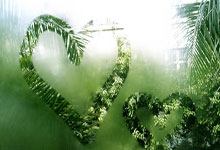 锁定前四,澳大利亚至少确保附加赛席位,月将战日本、沙特.